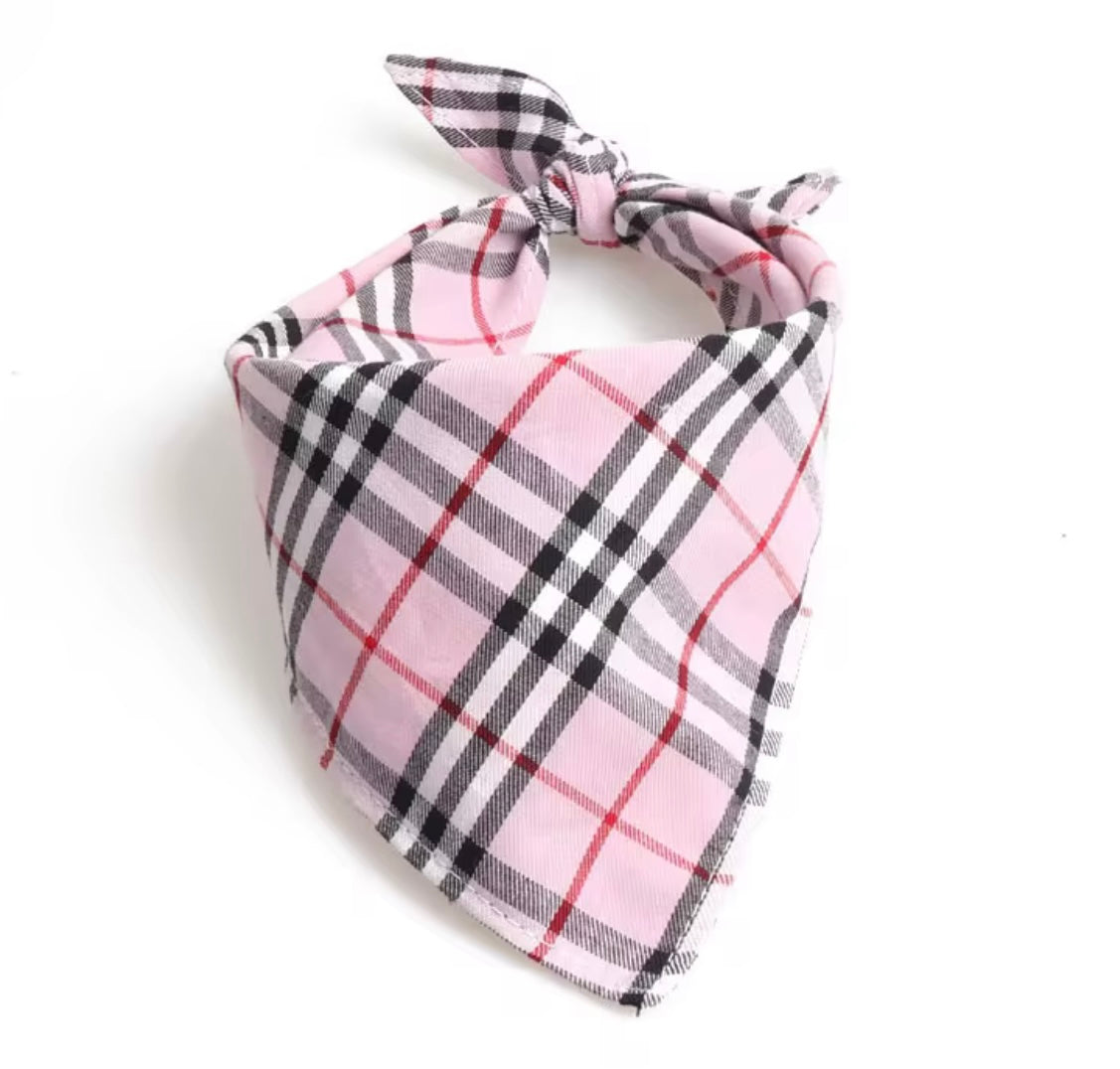 Pupberry Pink